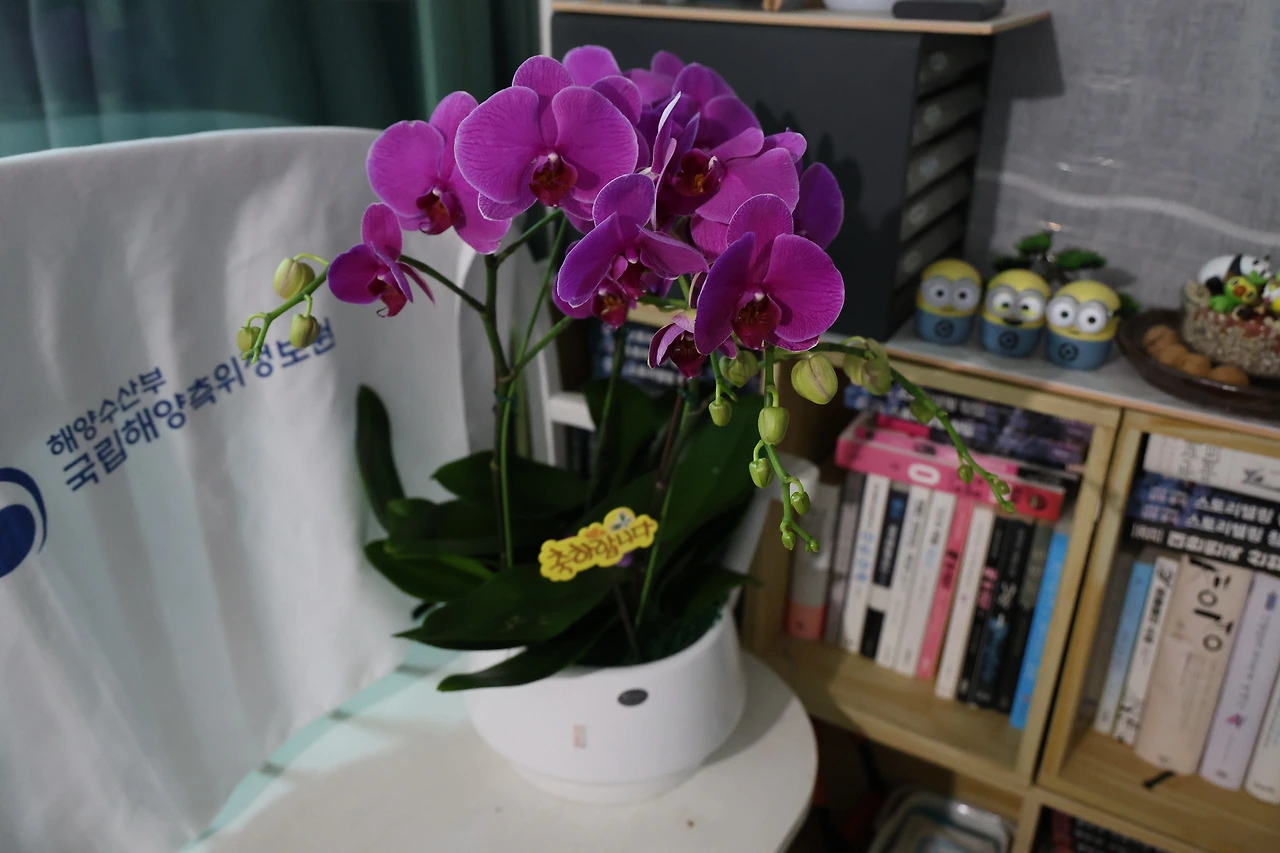 0R5A4837_новый размер.JPG