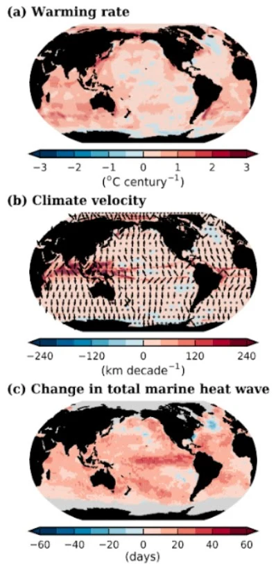 IPCC_AR6_II_fig.5_Changes-in-ocean-variables-between-1925-2016_fig.3.3.jpeg