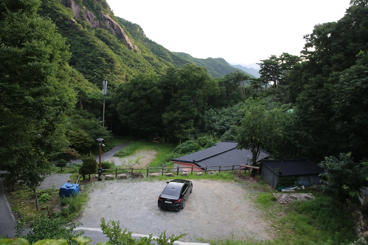 MG0A4550_новый размер.JPG