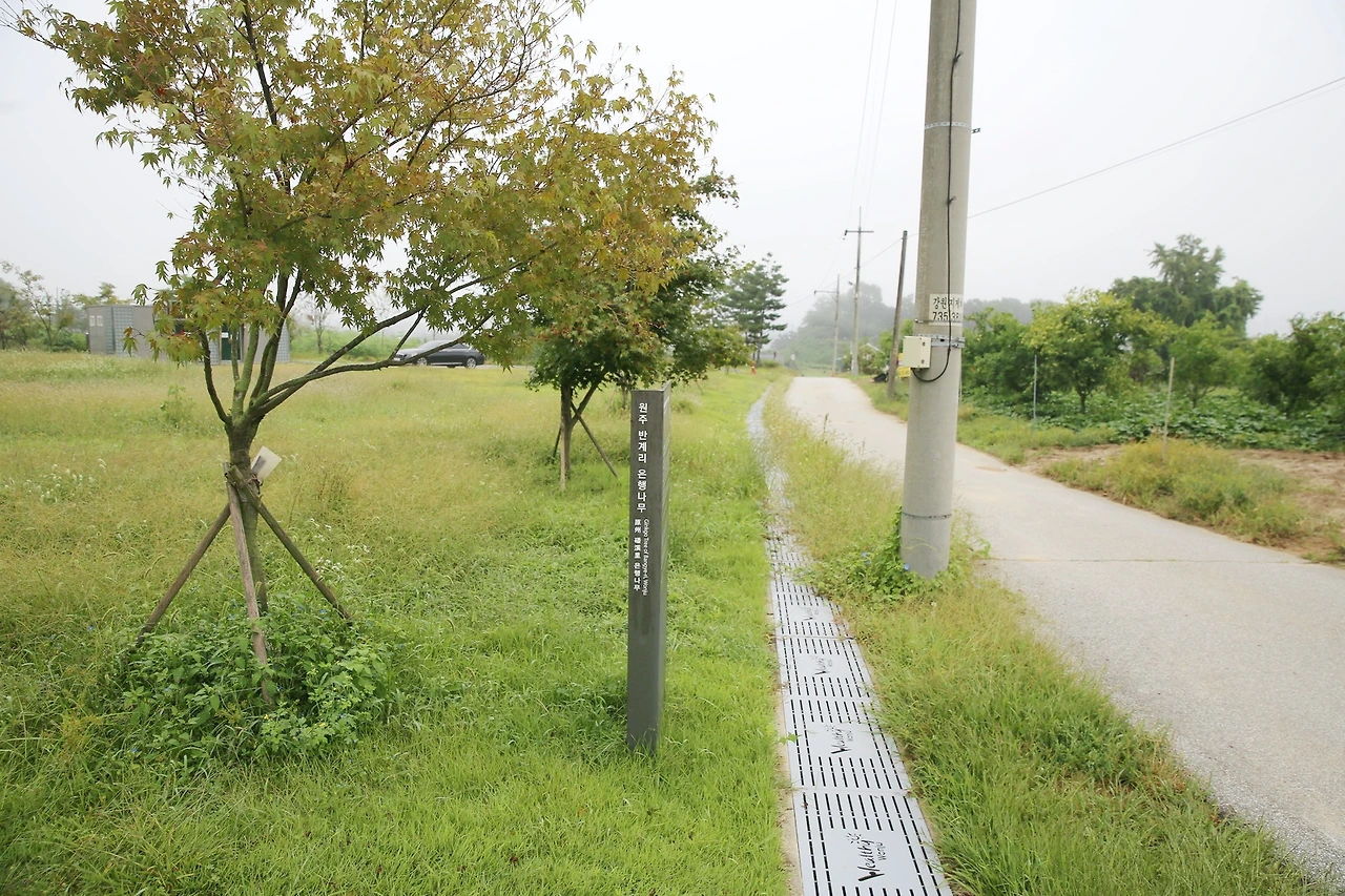 MG0A3575_новый размер_exposure.JPG