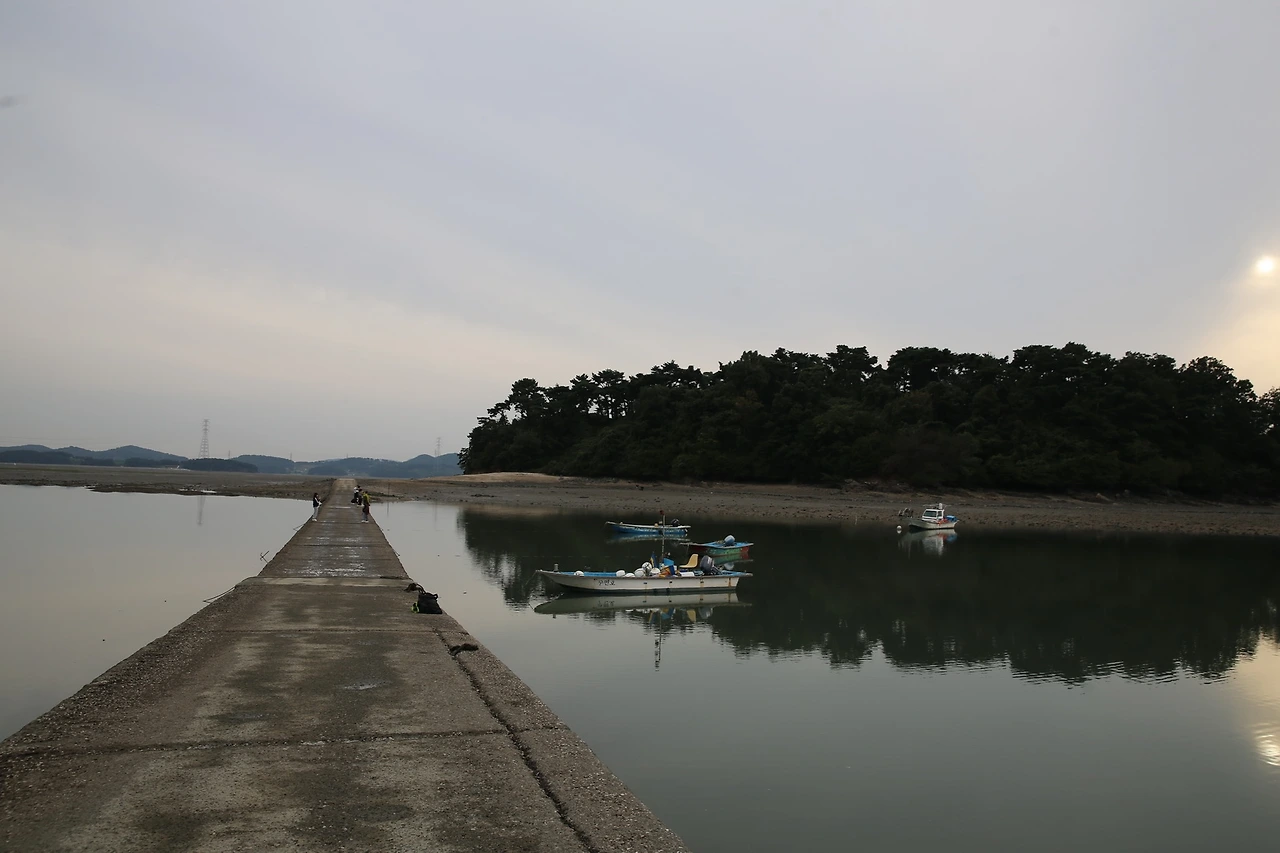 MG0A5371_новый размер.JPG