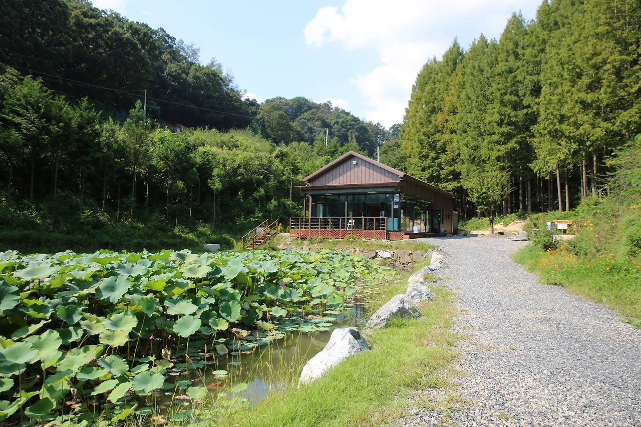 MG0A1511_новый размер.JPG