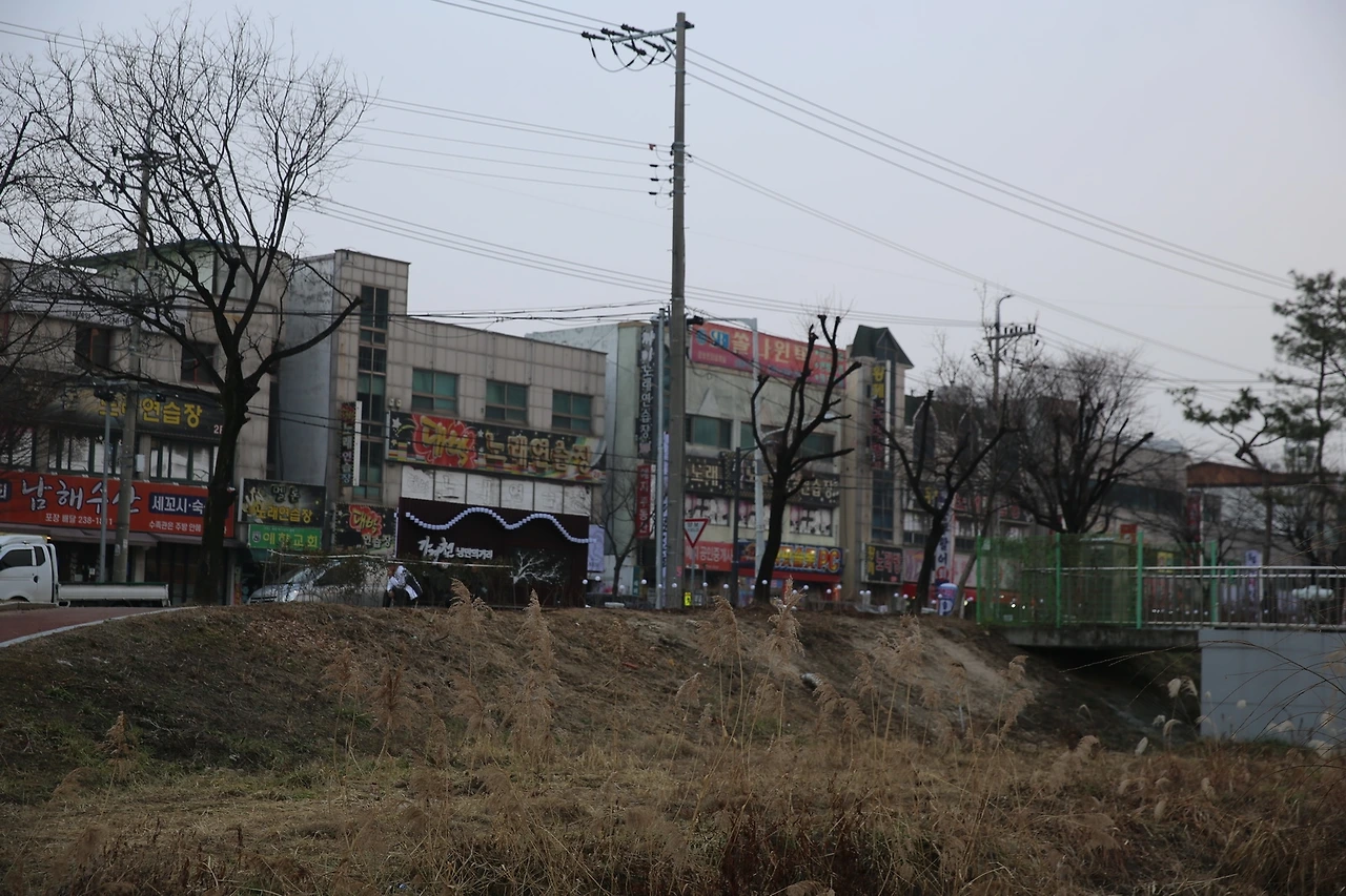 MG0A5584_новый размер.JPG