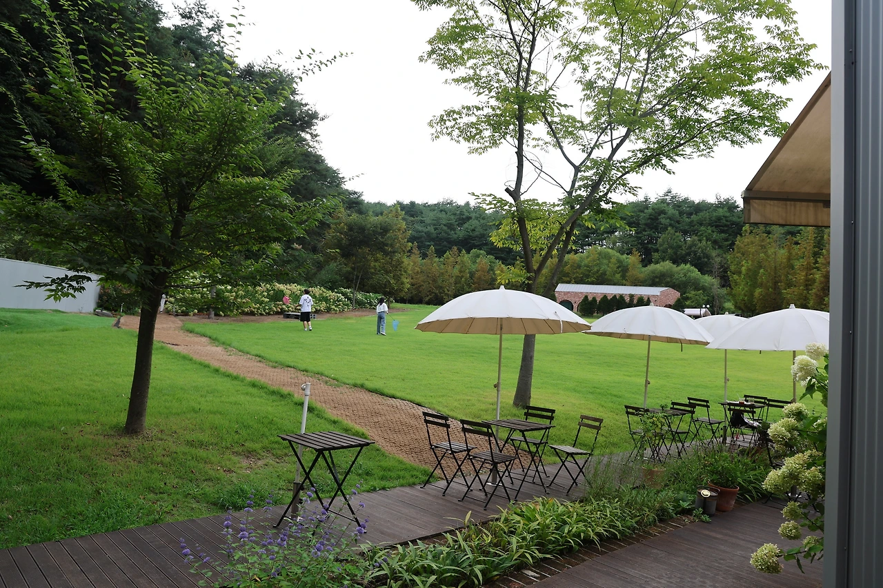 0R5A6182_новый размер.JPG