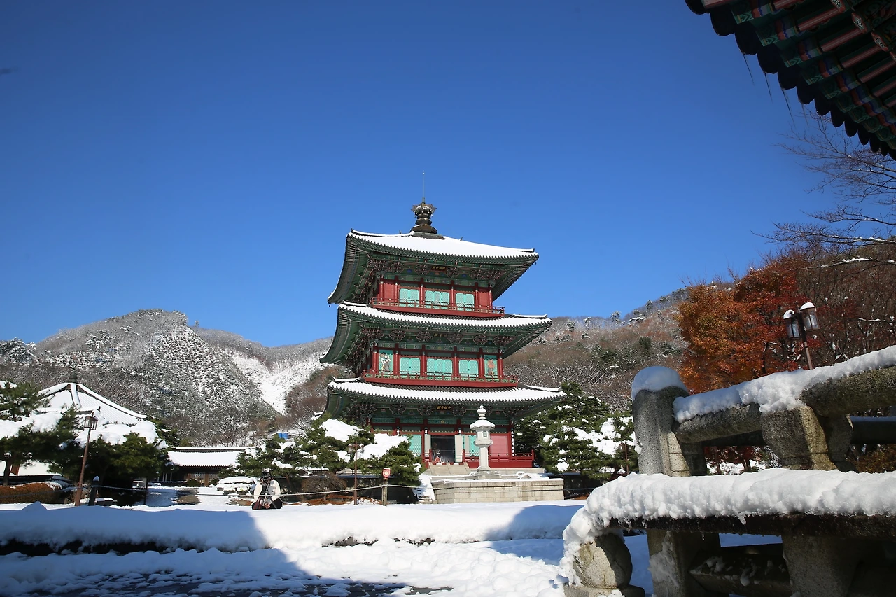 MG0A2331_новый размер.JPG