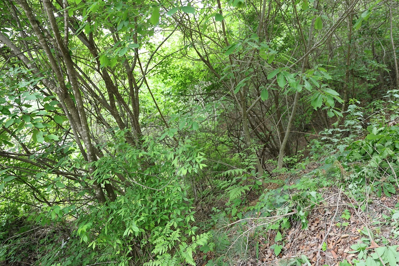 0R5A1420_новый размер.JPG