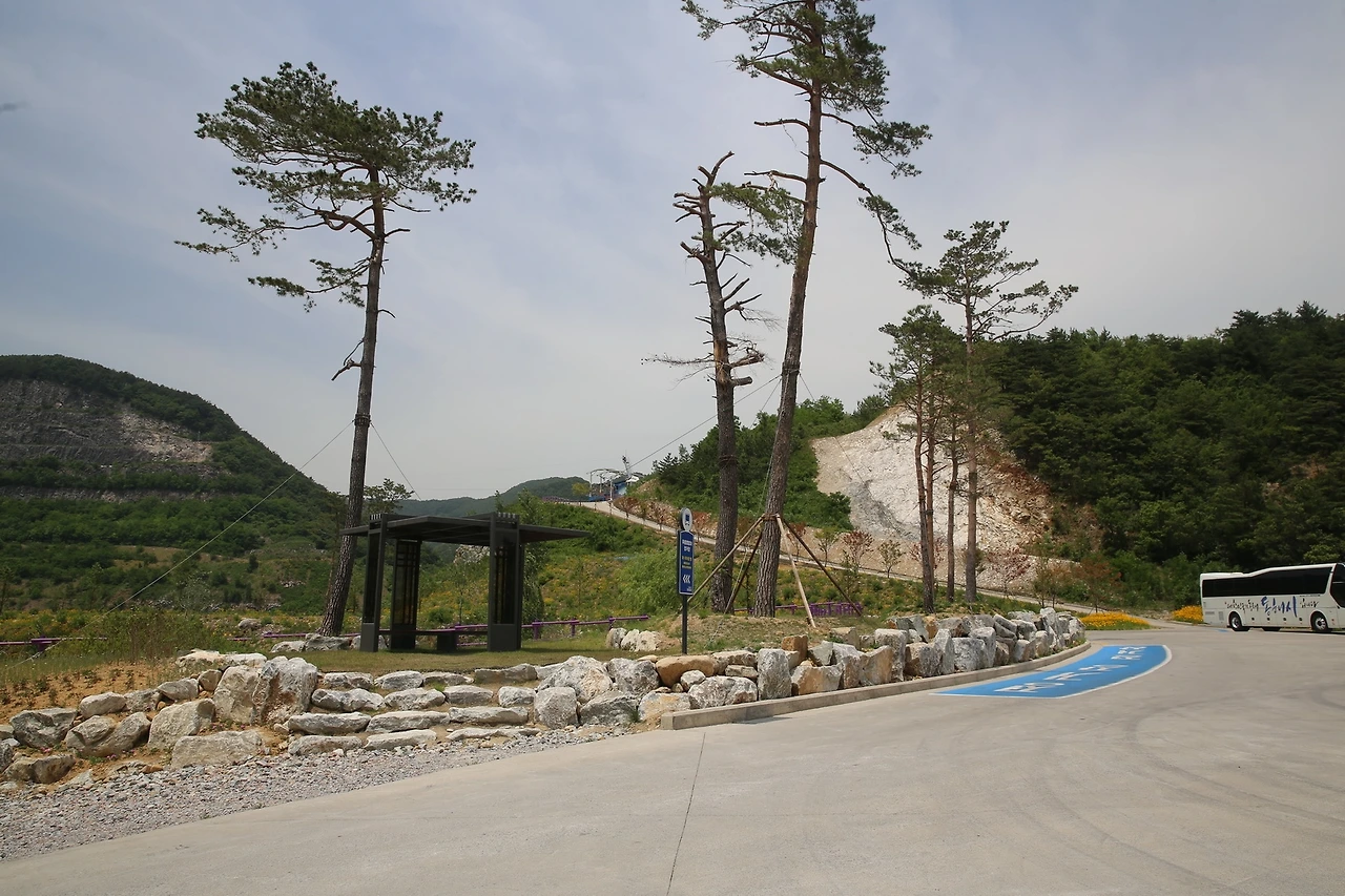 MG0A0823_новый размер.JPG