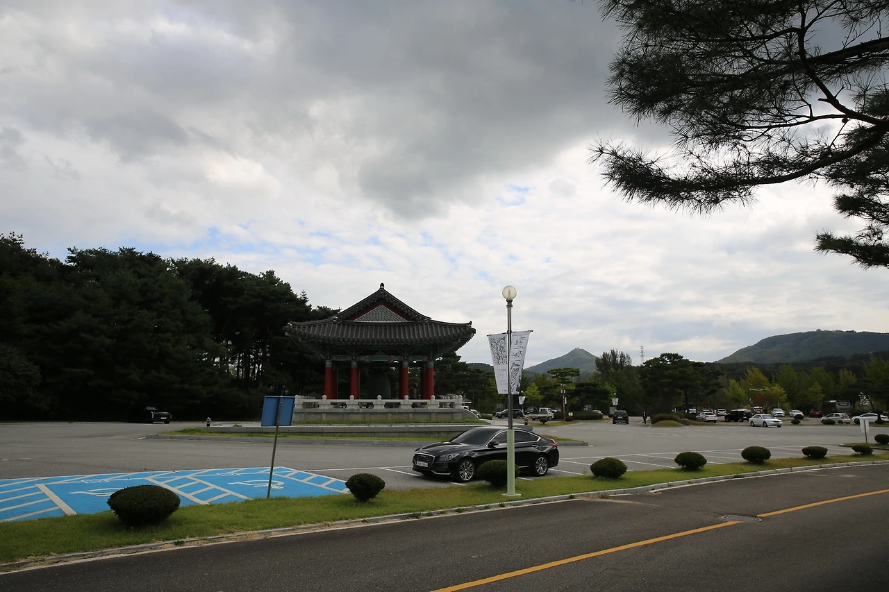 MG0A5605_новый размер.JPG