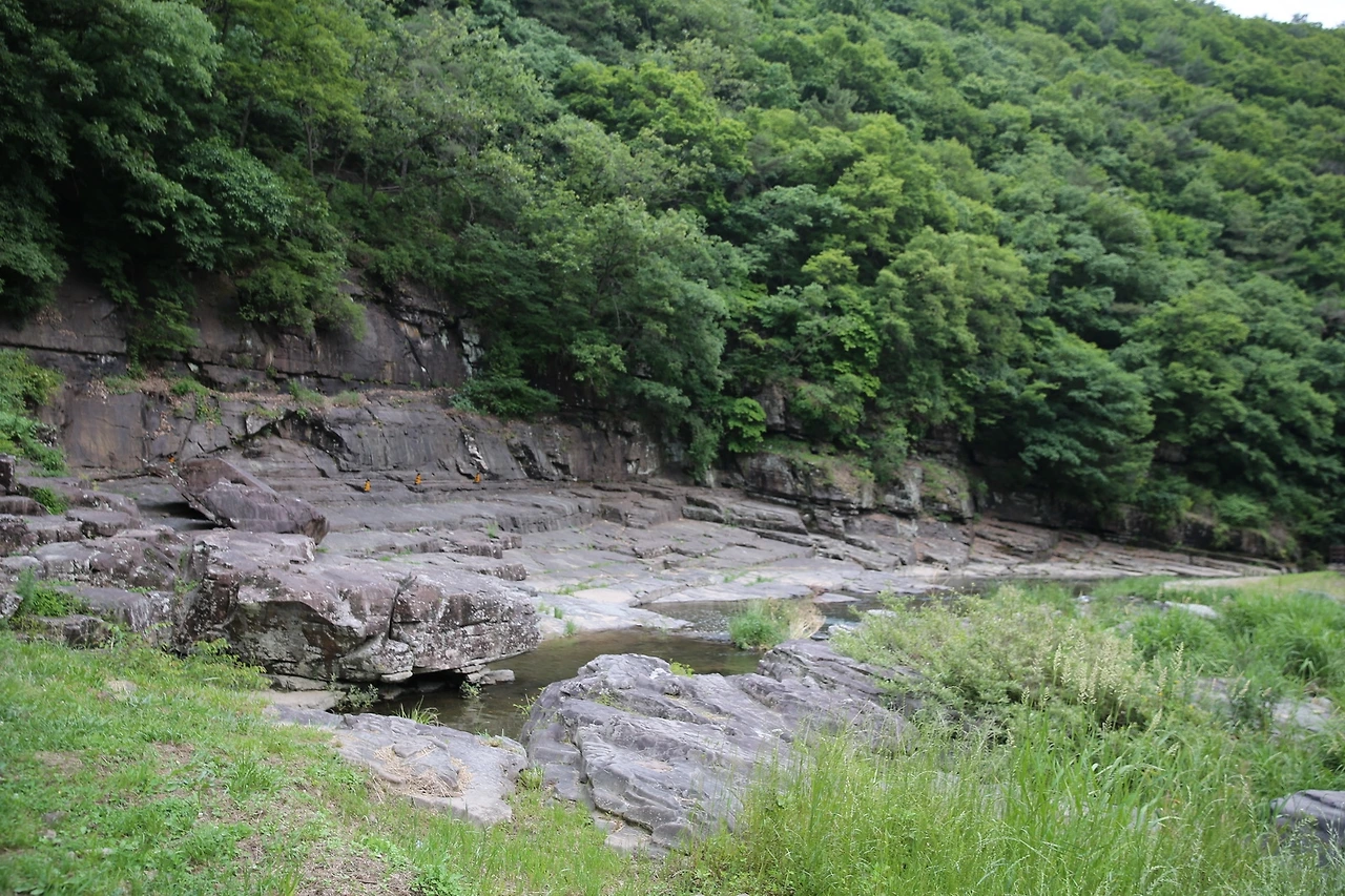 MG0A5512_новый размер.JPG