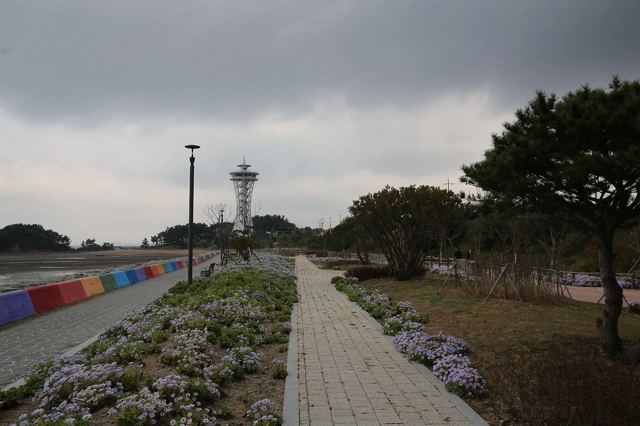 MG0A9308_новый размер.JPG