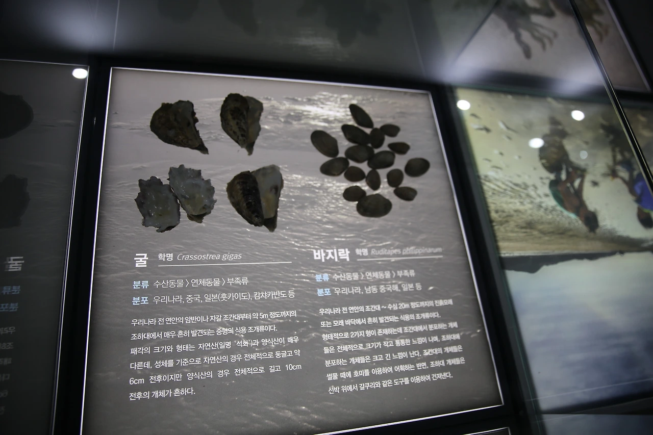 MG0A1343_новый размер.JPG