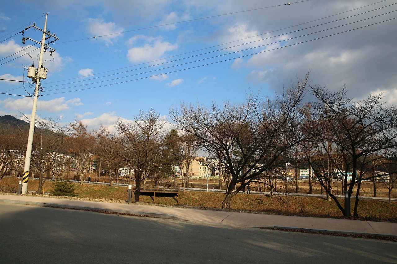 MG0A4996_новый размер.JPG