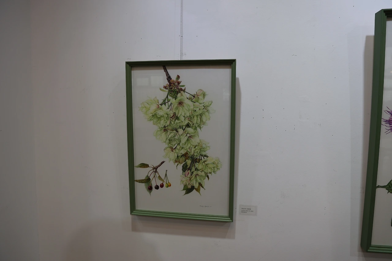 0R5A4981_новый размер.JPG