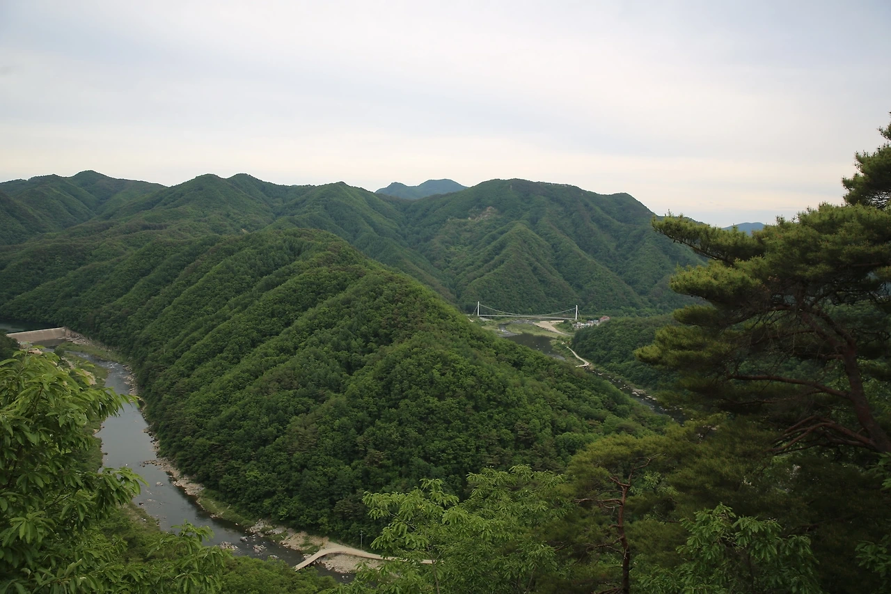 MG0A9942_новый размер.JPG