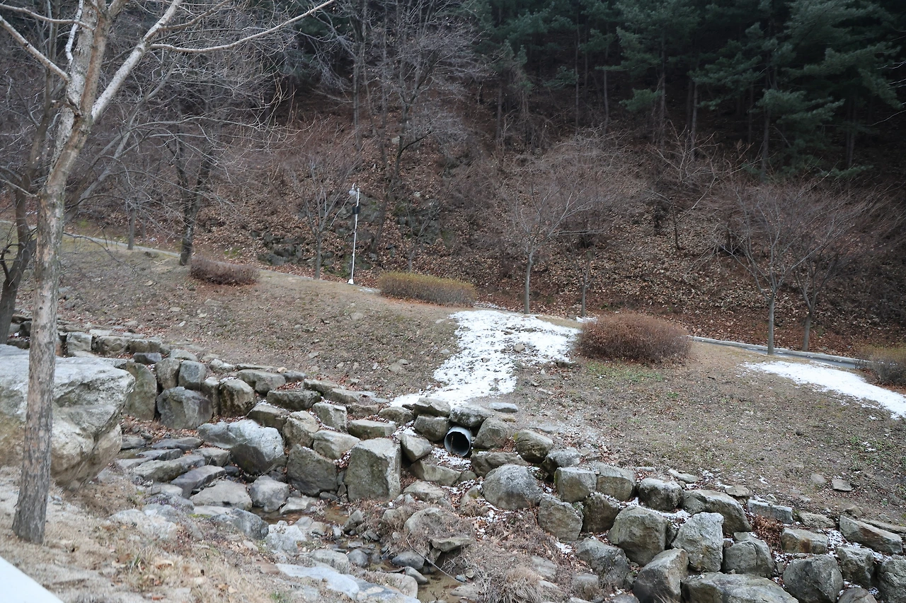 0R5A6657_новый размер.JPG