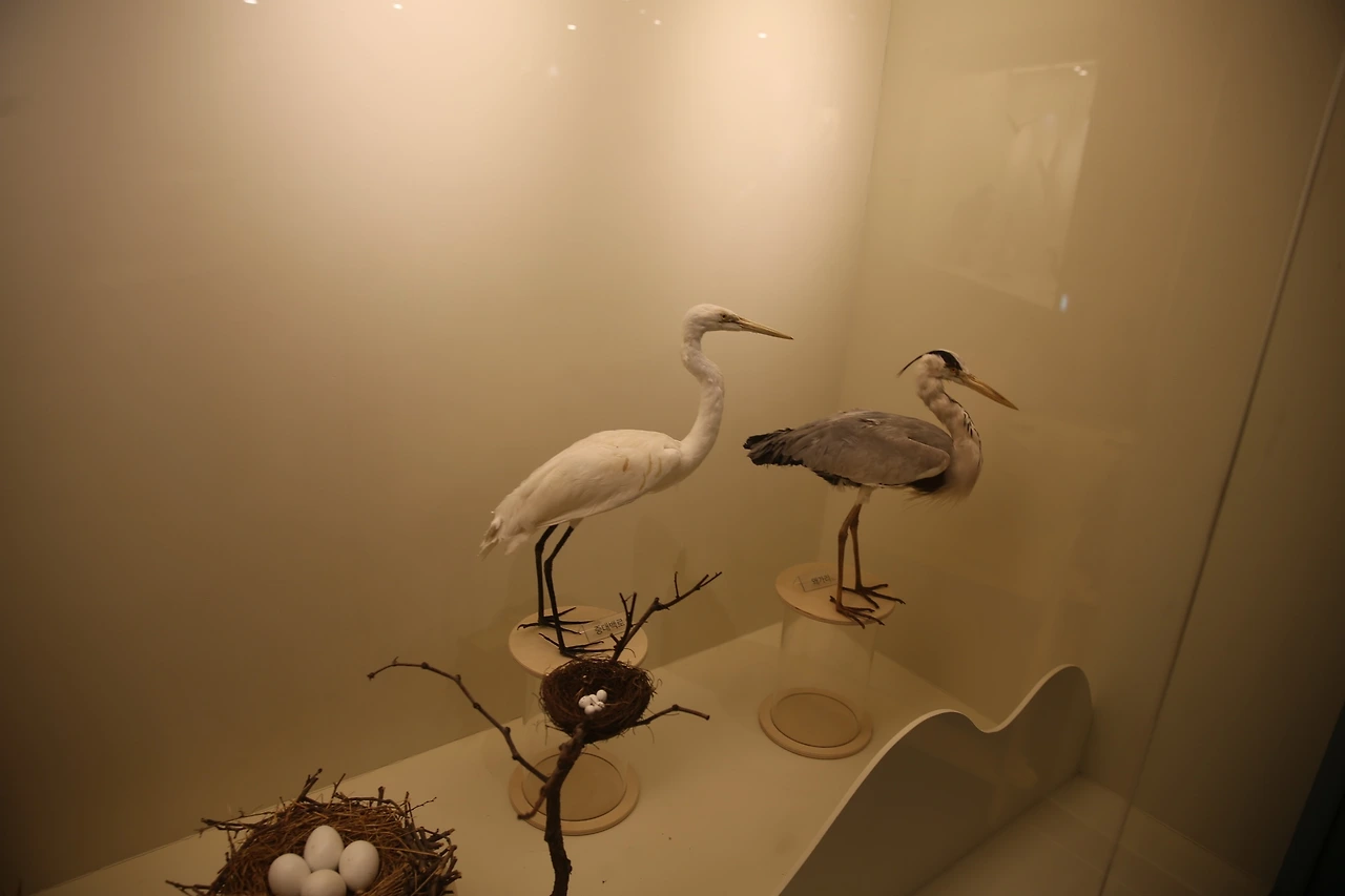 MG0A3564_новый размер.JPG