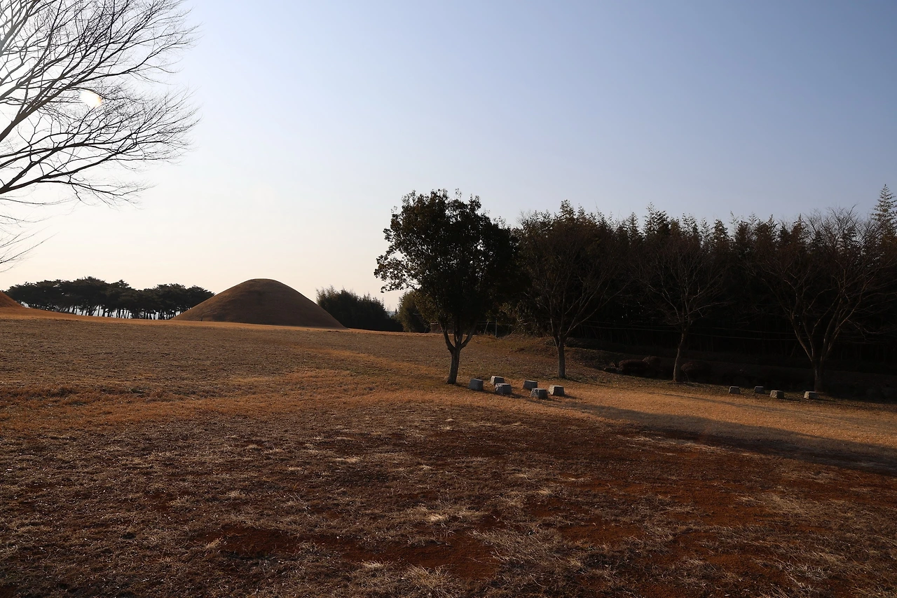 0R5A0133_новый размер.JPG