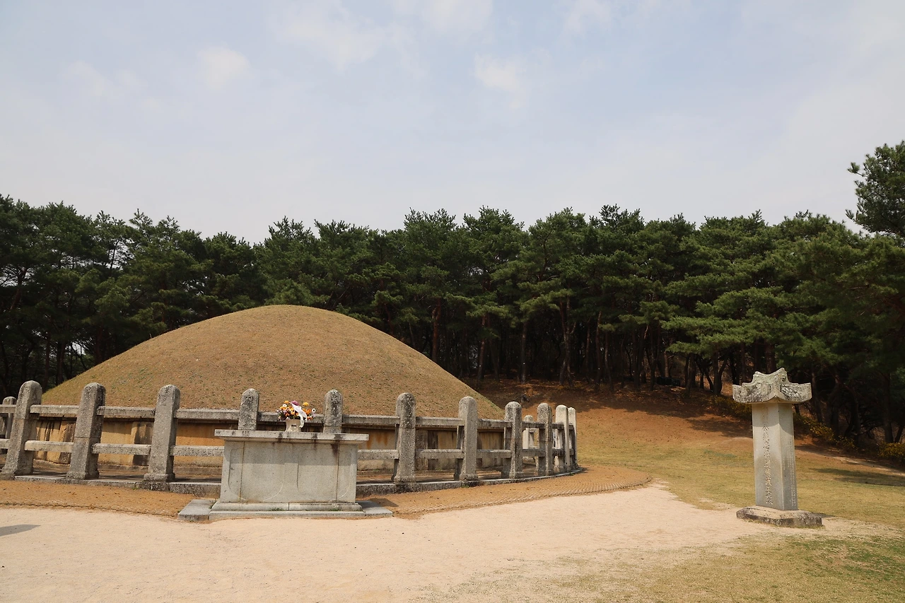 0R5A4706_новый размер.JPG