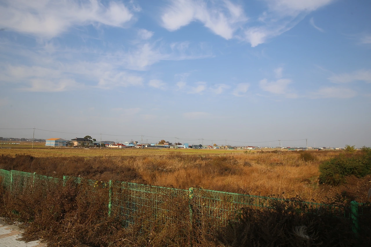 MG0A0061_новый размер.JPG