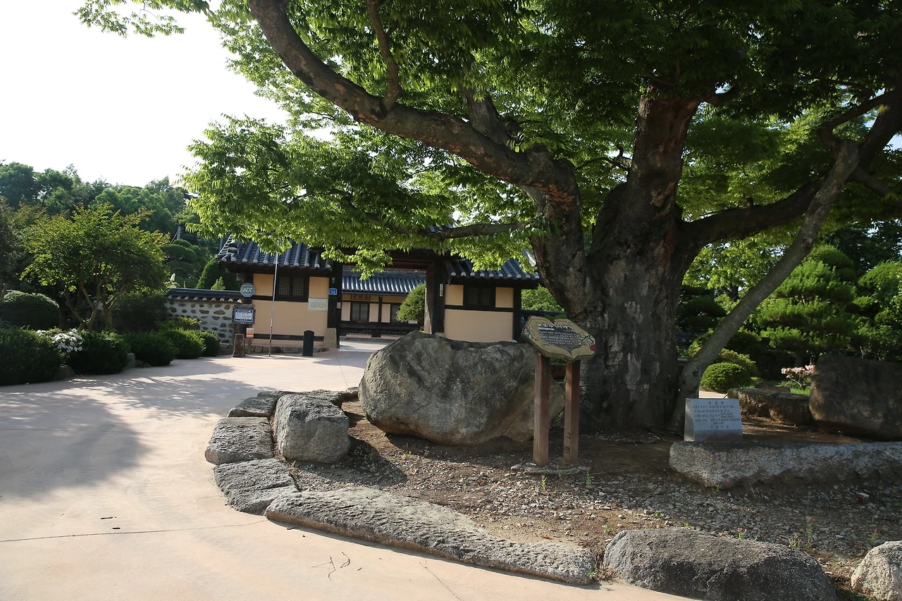 MG0A7843_новый размер.JPG