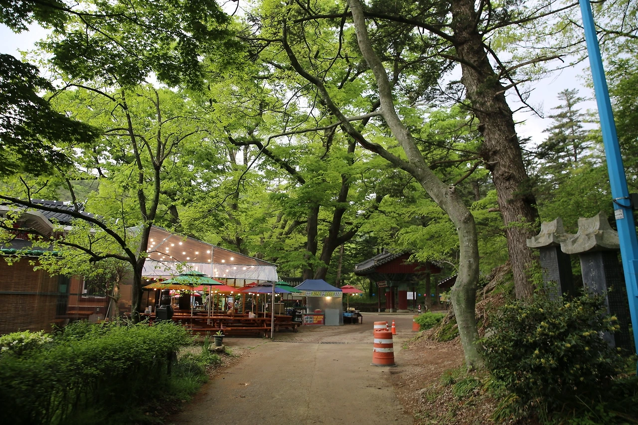 MG0A0571_новый размер.JPG