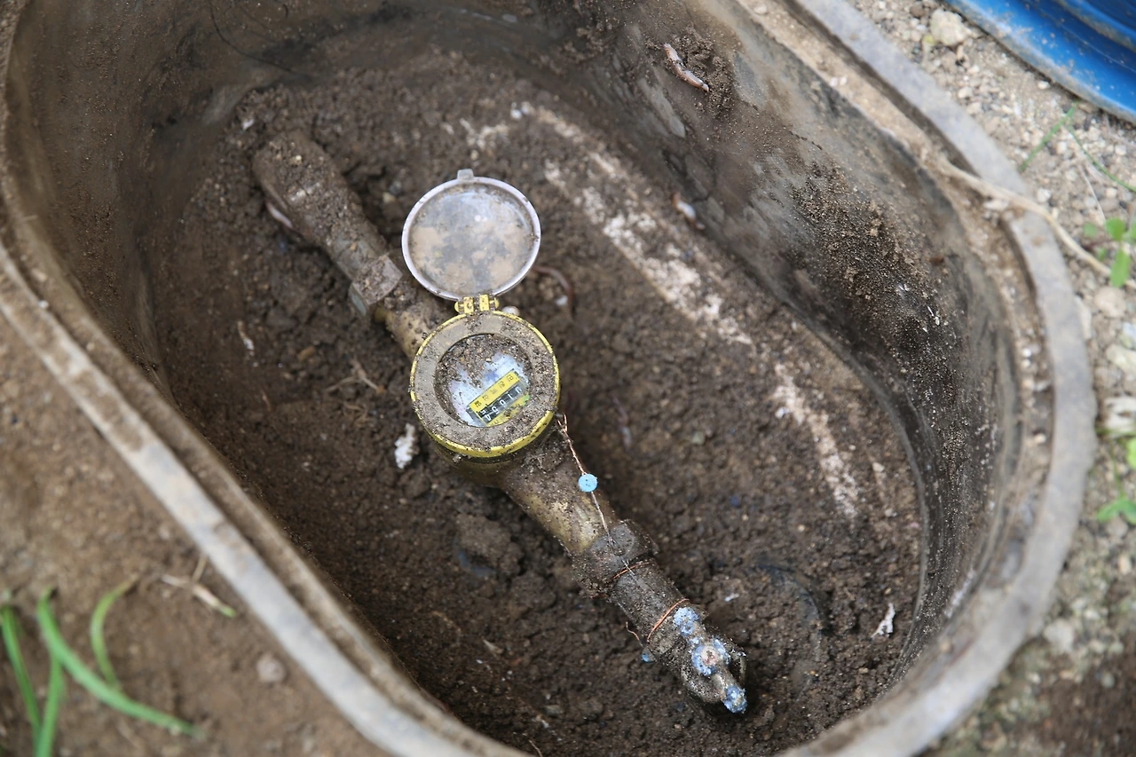 MG0A1661_новый размер.JPG