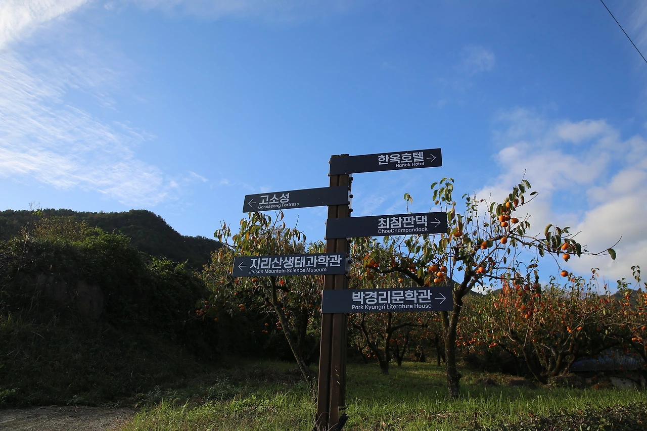 MG0A7968_новый размер.JPG