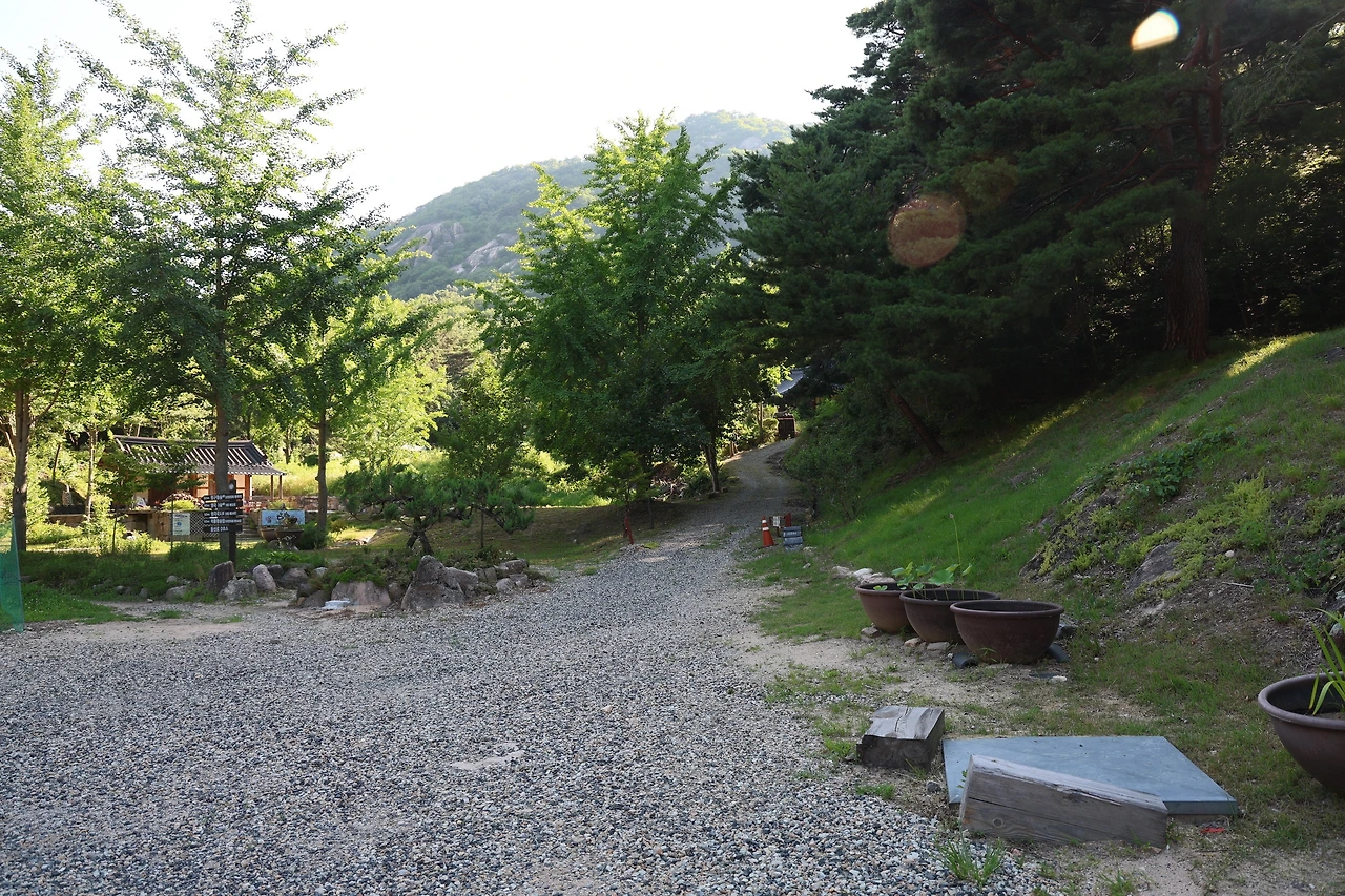 0R5A8068_новый размер.JPG