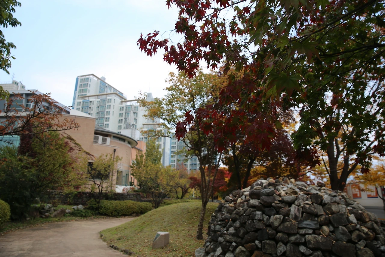 MG0A7694_новый размер.JPG