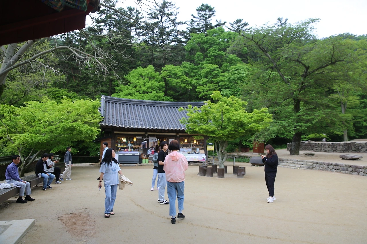 MG0A0598_новый размер.JPG