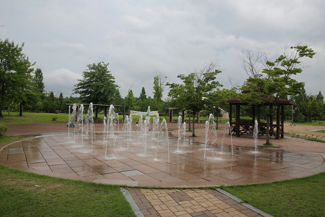 MG0A4724_новый размер.JPG