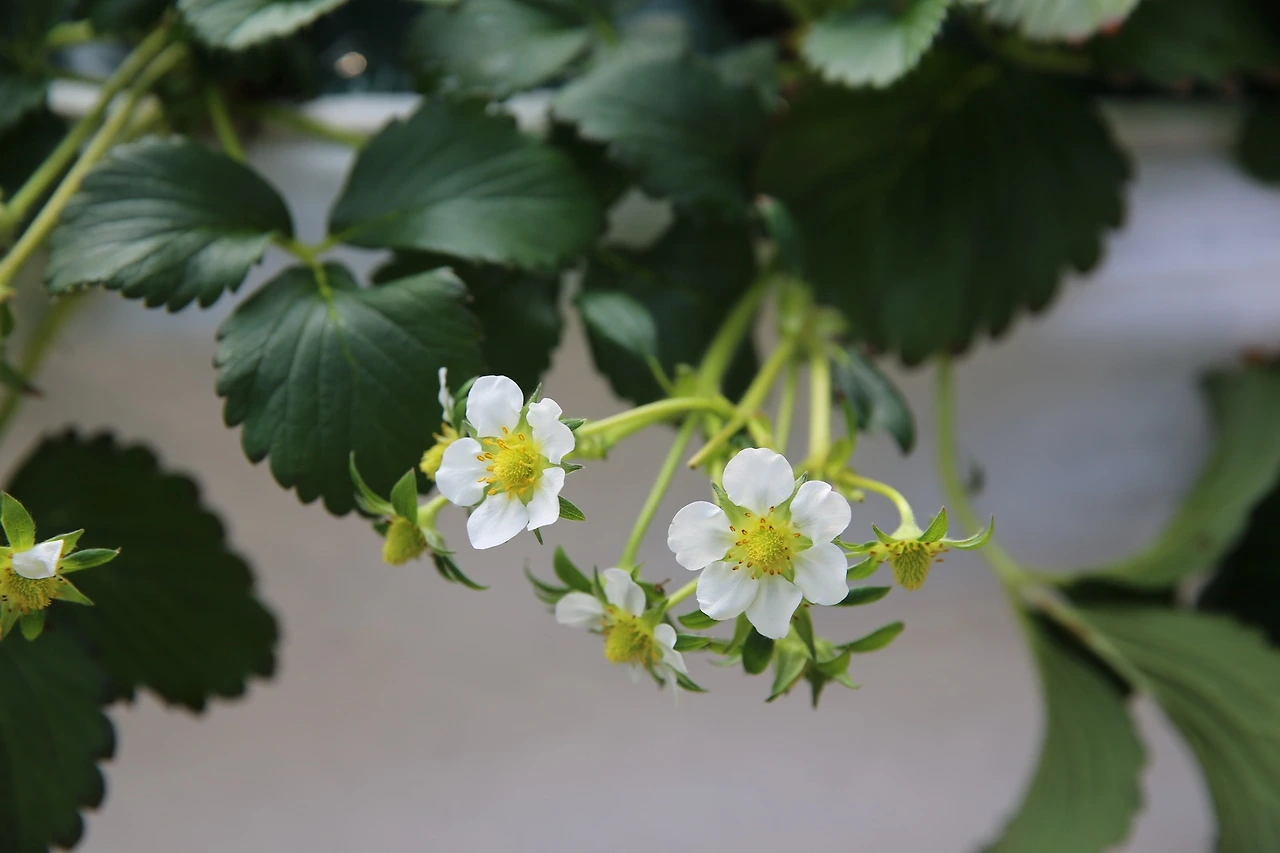 MG0A9438_новый размер.JPG