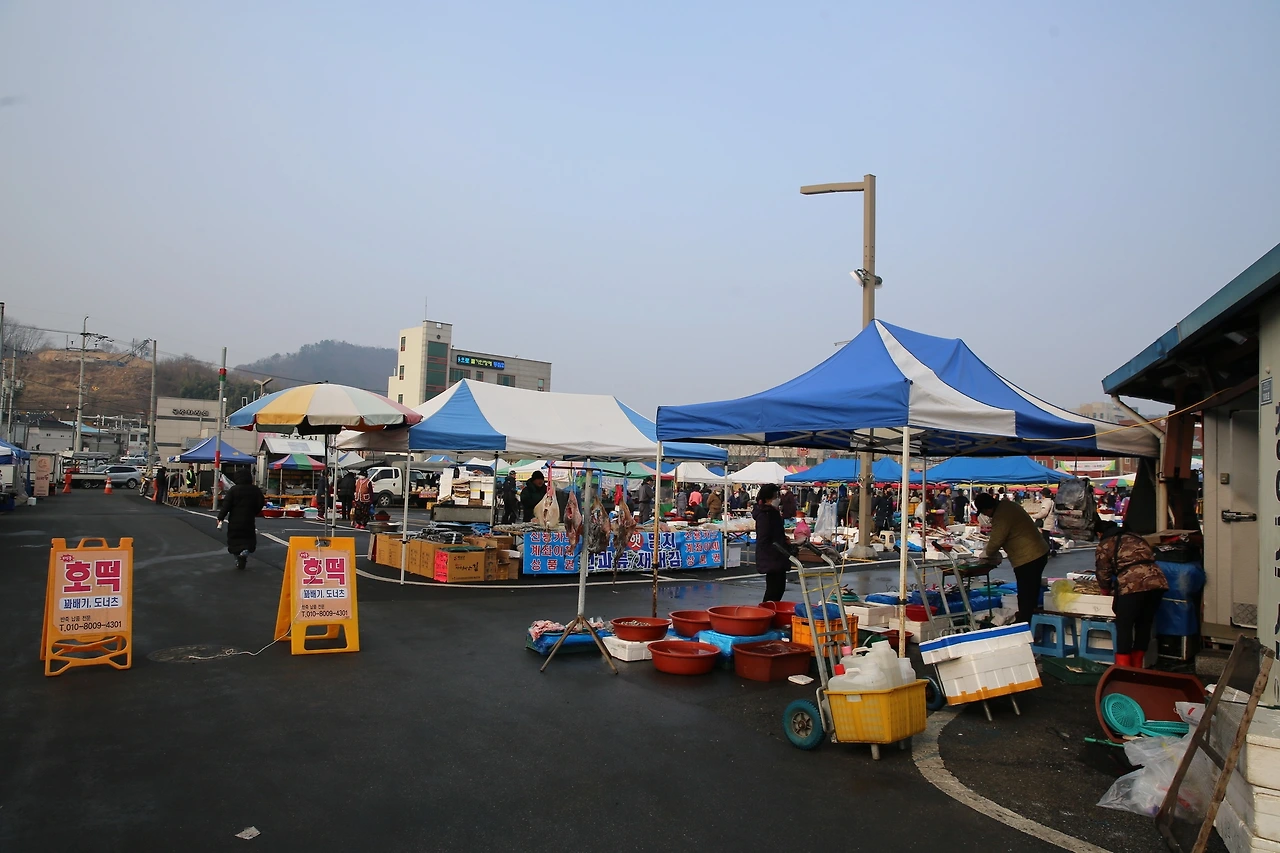 MG0A6614_новый размер.JPG