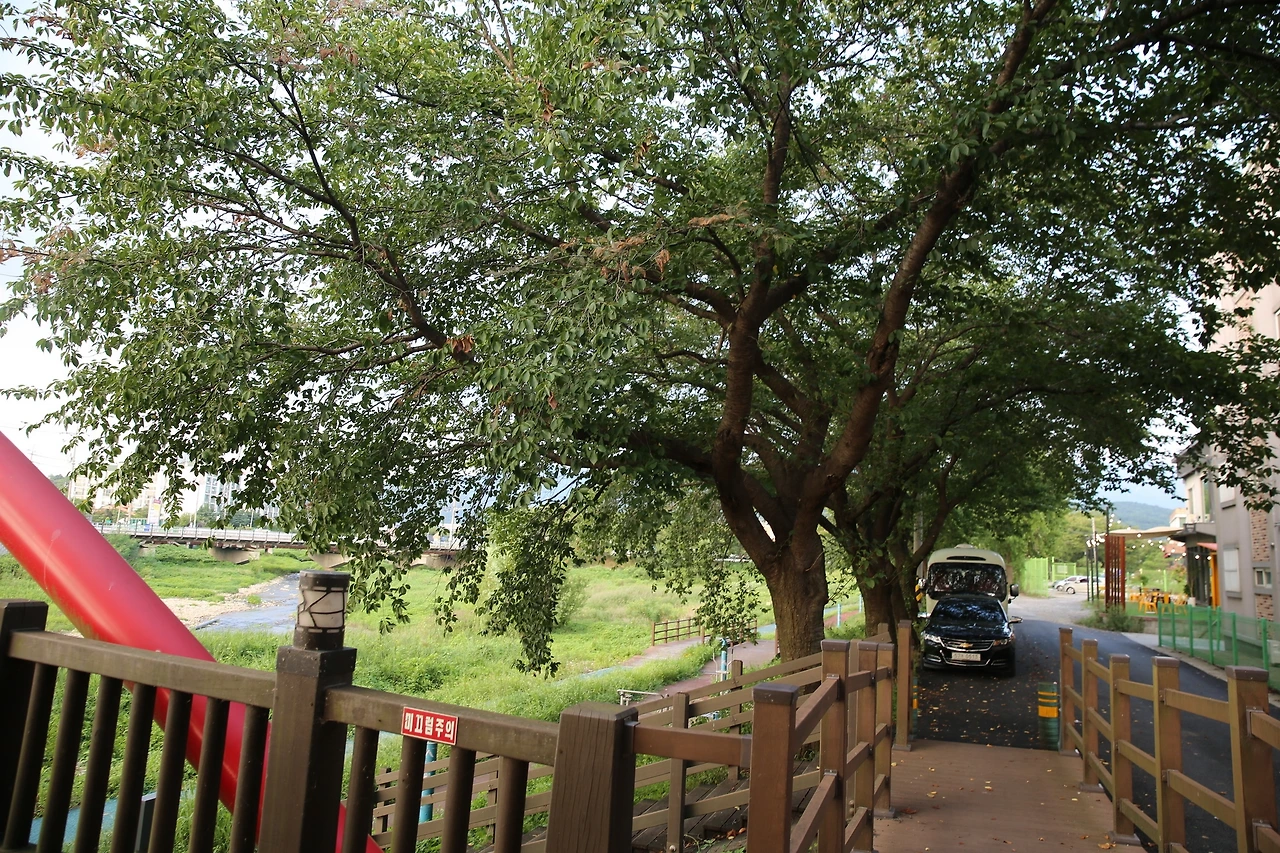 MG0A7164_новый размер.JPG