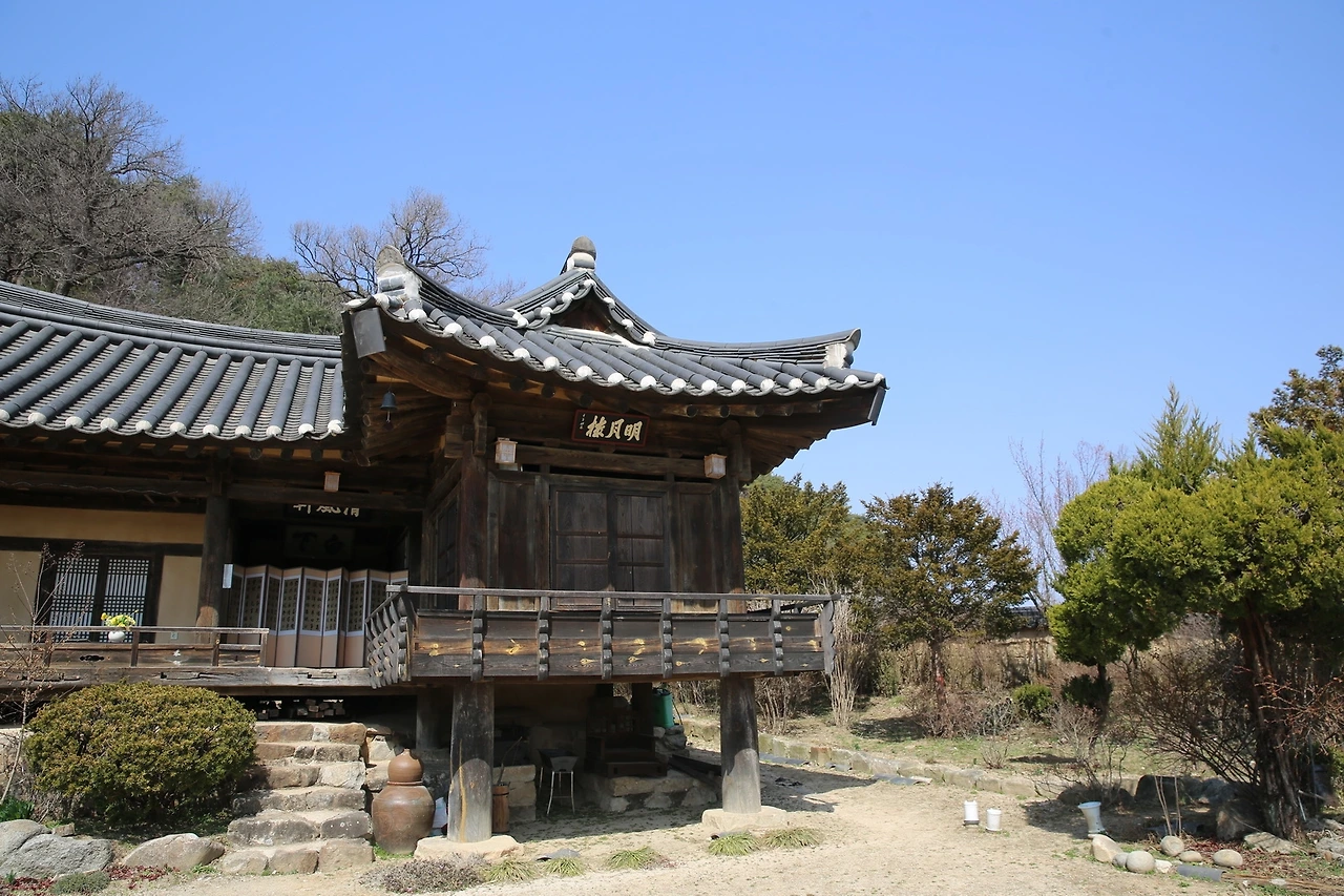 MG0A4737_новый размер.JPG