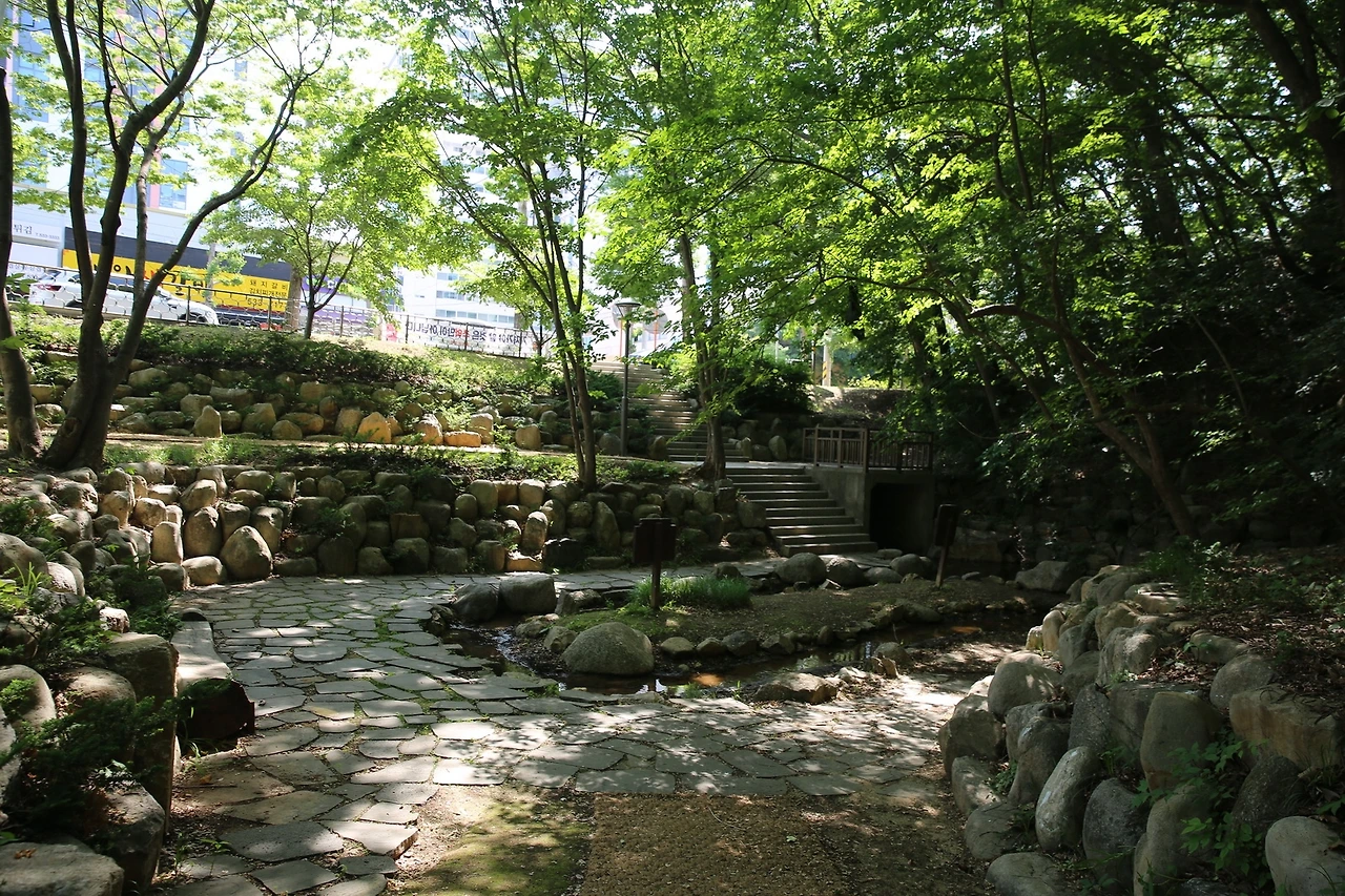 MG0A0074_новый размер.JPG