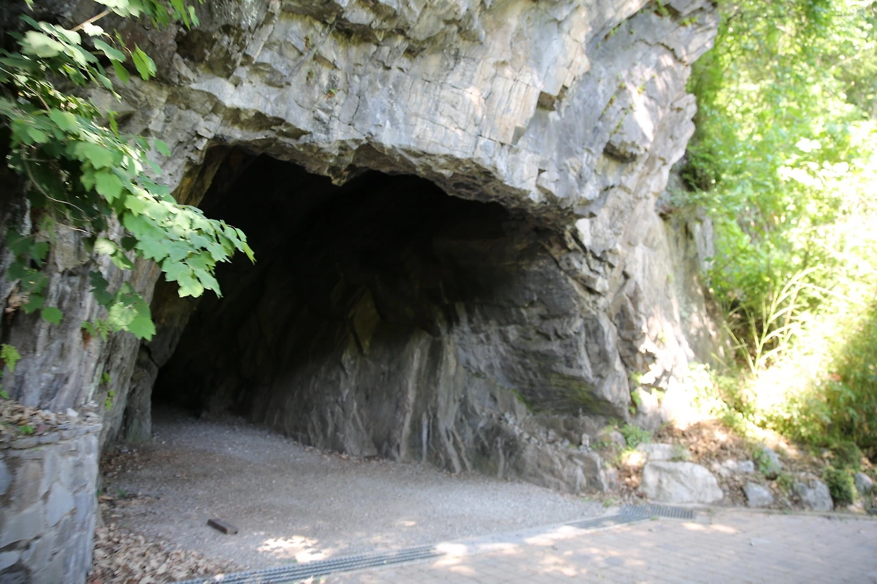 MG0A7958_новый размер.JPG