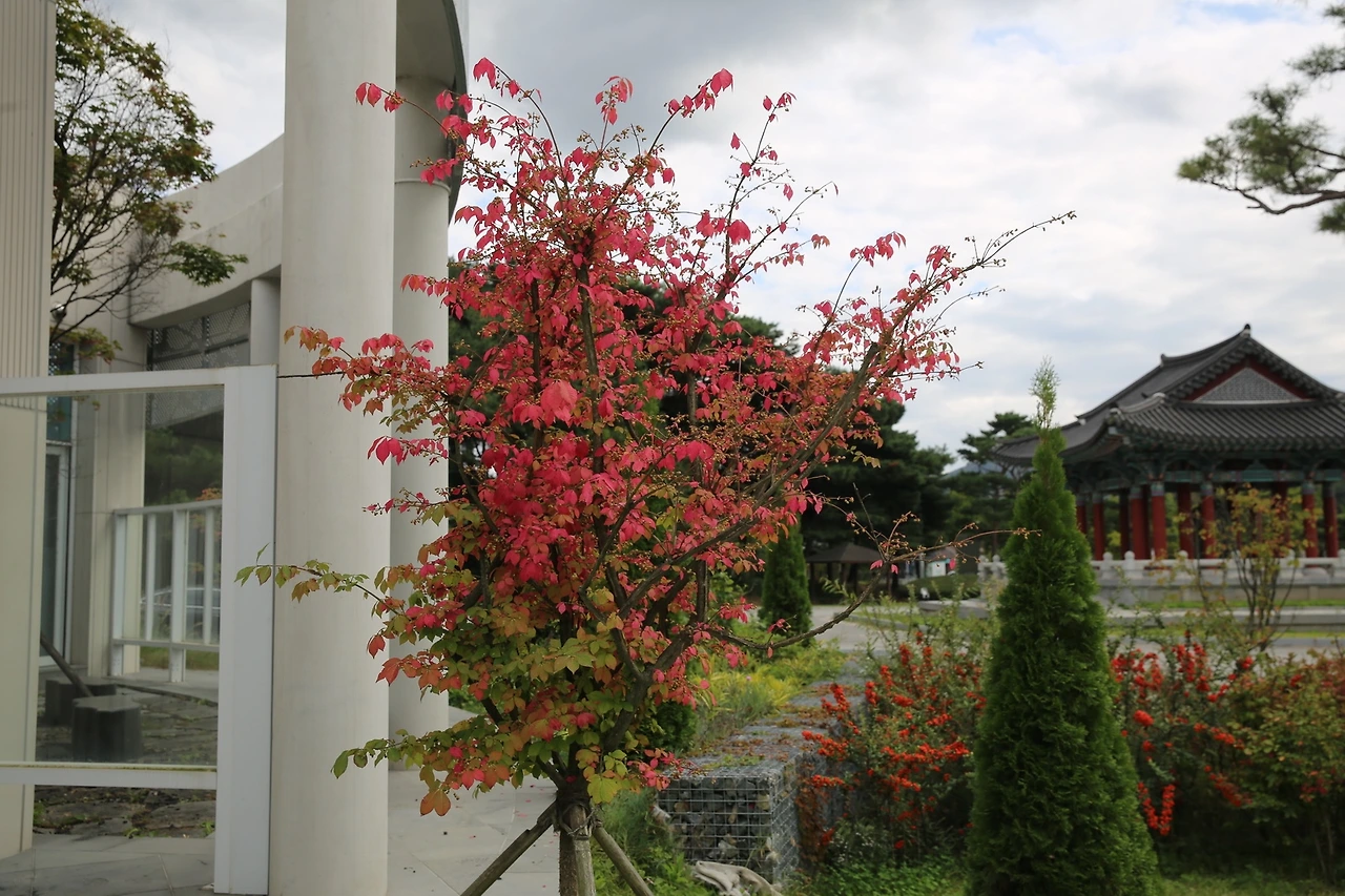 MG0A5609_новый размер.JPG