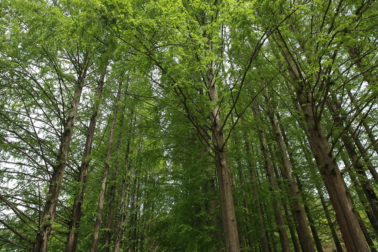 MG0A1122_новый размер.JPG