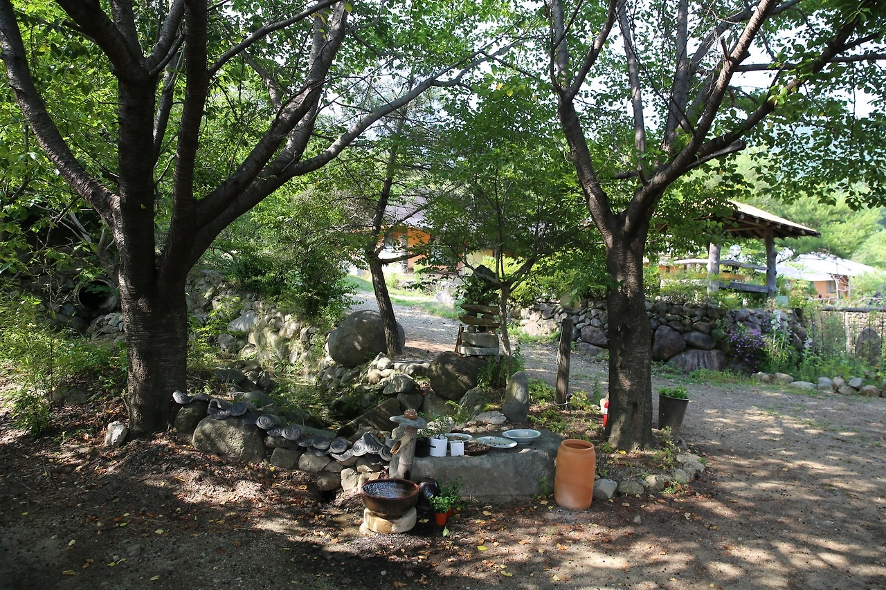 MG0A9804_новый размер.JPG