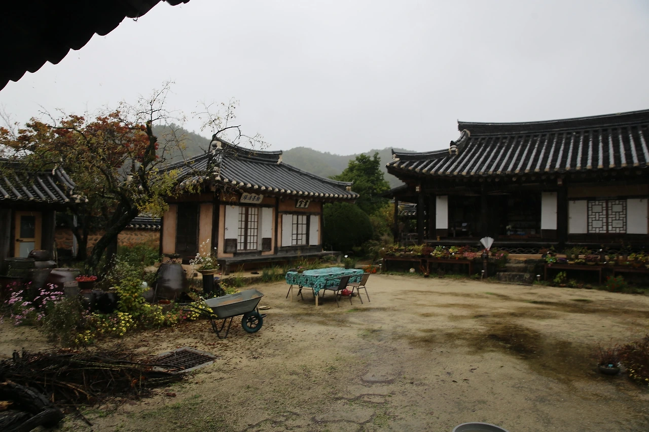 MG0A5992_новый размер.JPG