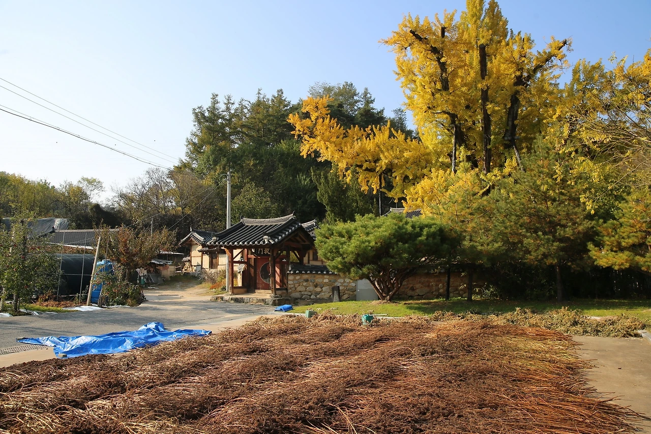 MG0A8365_новый размер.JPG