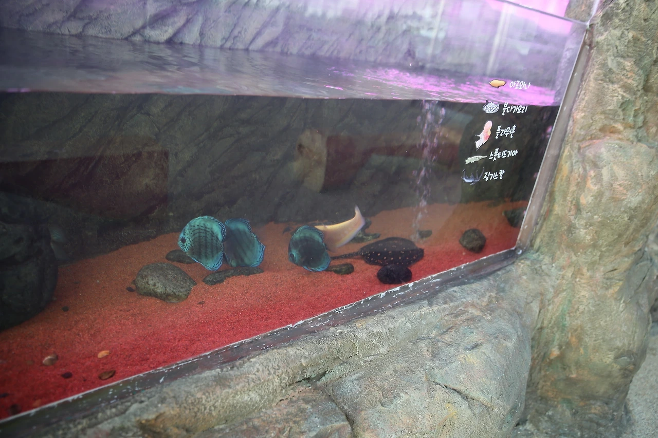 MG0A0436_новый размер.JPG