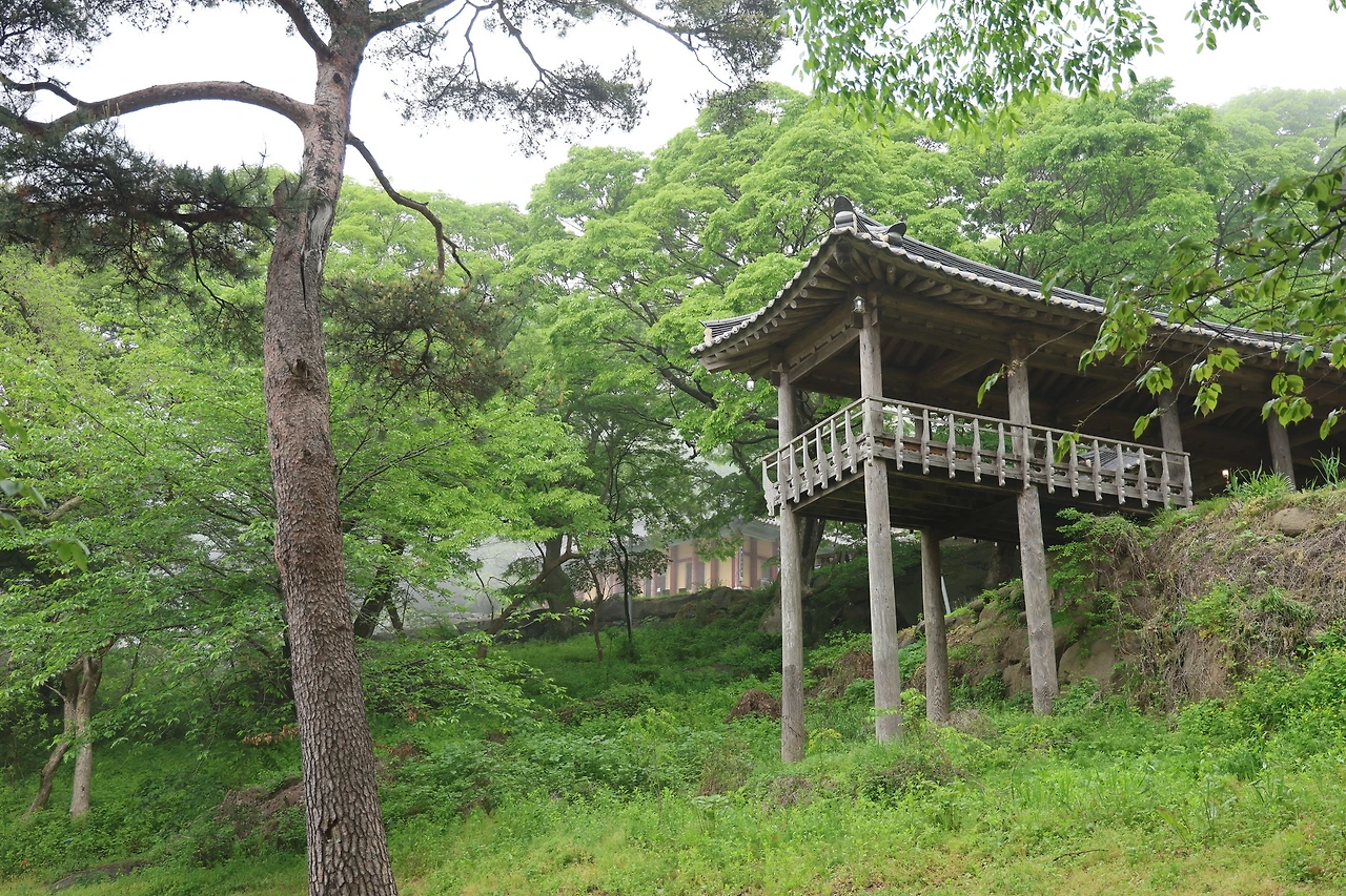 0R5A0759_новый размер.JPG