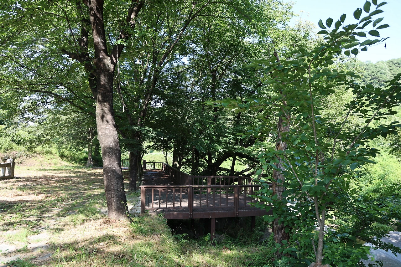 0R5A7926_новый размер.JPG