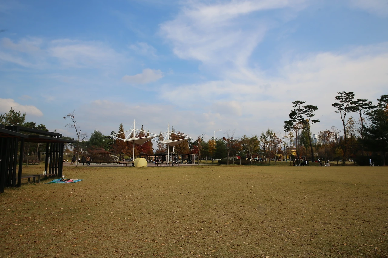 MG0A9657_новый размер.JPG