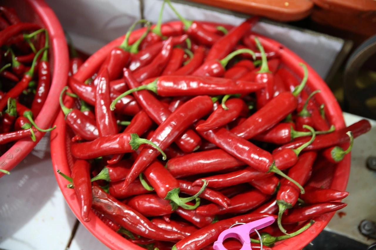 MG0A0852_новый размер.JPG