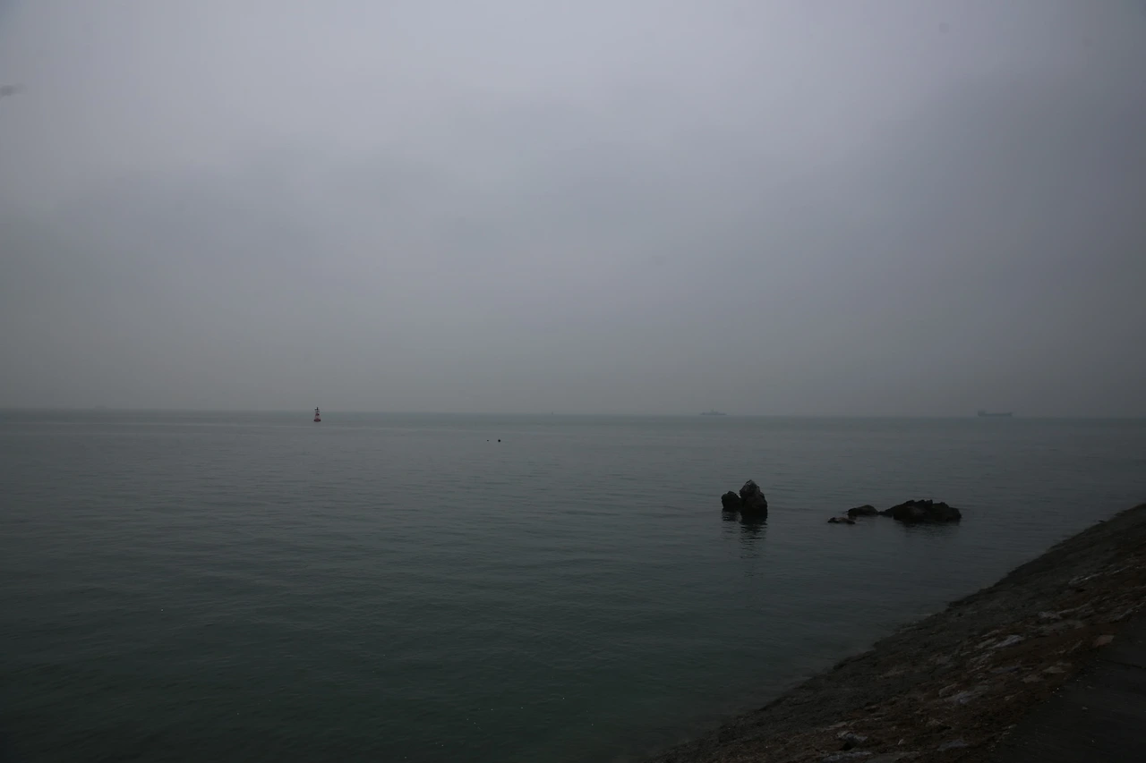 MG0A5834_новый размер.JPG