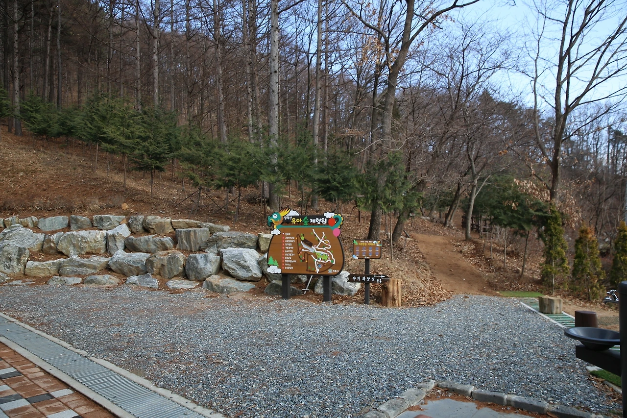 MG0A5553_новый размер.JPG