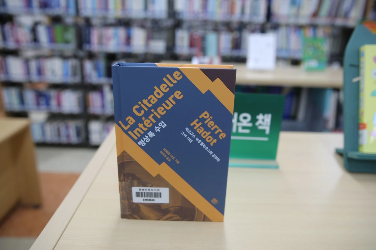 MG0A2894_новый размер.JPG